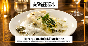 Hareng mariné
